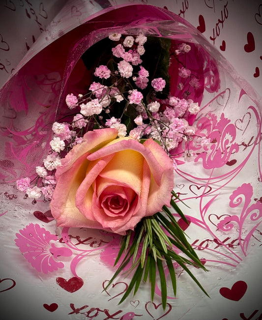 Single Rose (Gift Wrapped)
