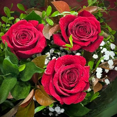 3 Roses Gift Wrapped and Water Bagged image 0