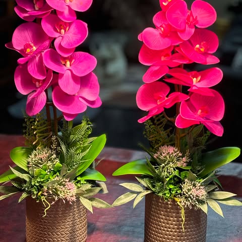 Lifelike Orchid Plant image 0