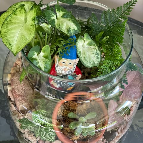 Terrarium Medium image 0