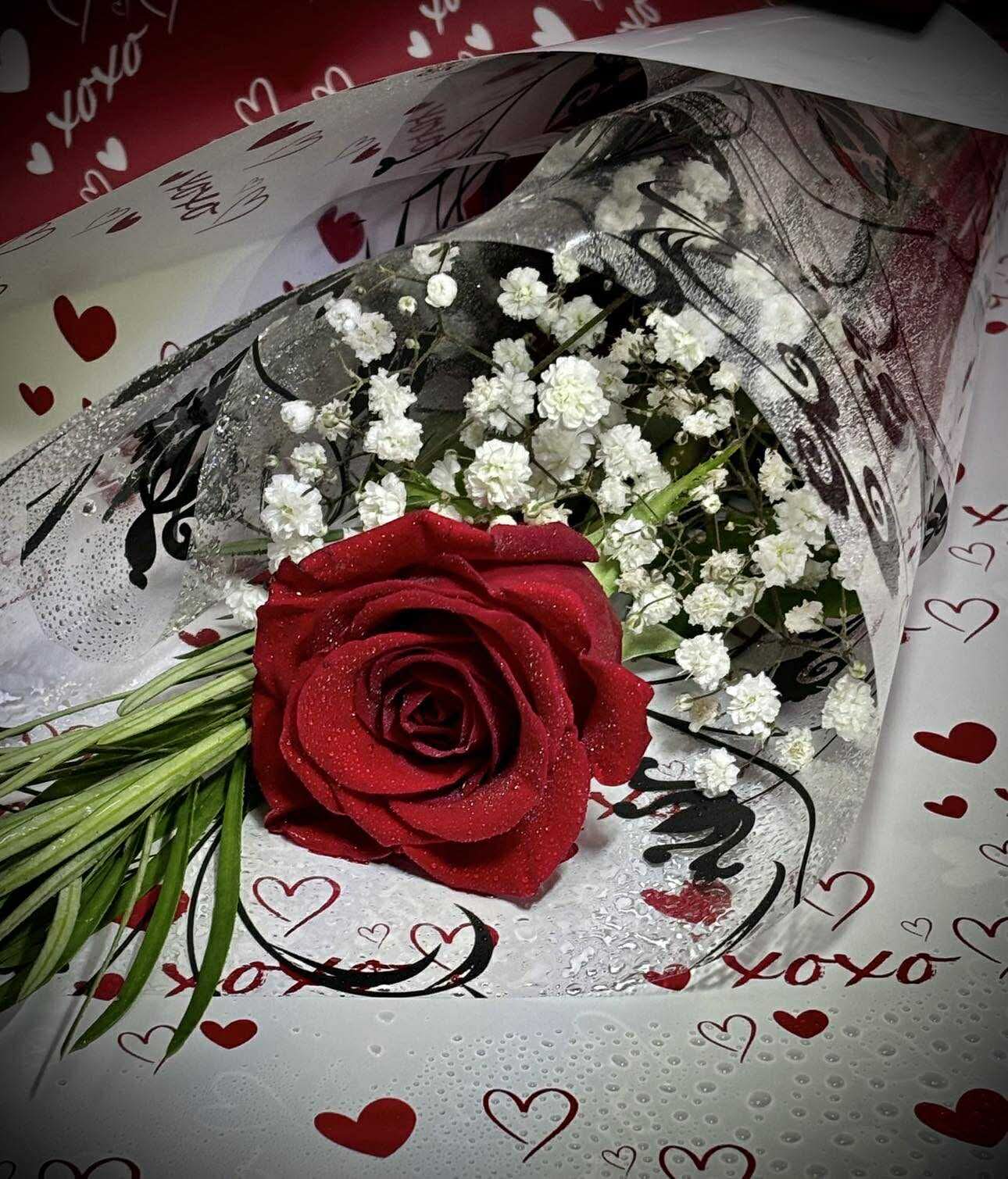 Single Rose (Gift Wrapped) – Our Flower Bar